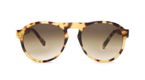Annan_Leopard_Front_37d9279c-d9ec-47e9-8217-d215f463277a