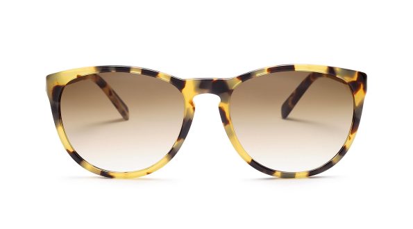 Argyll_Leopard_Front