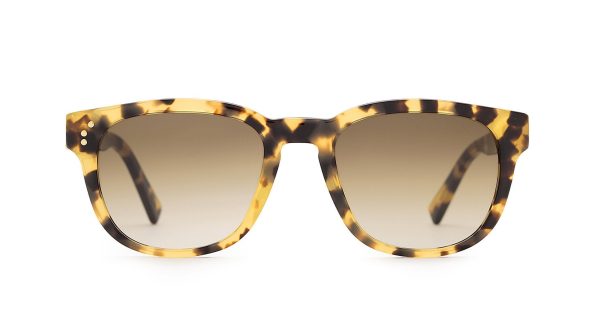 Lewis_Leopard_Front