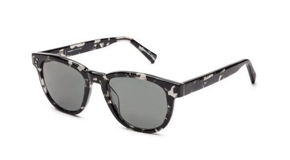 Lewis_Sun_BlackTort_Side